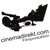 cinemadirekt.com logo