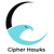 Cipher Hawks Pvt. Ltd. logo