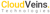 Cloud Veins Technologies logo