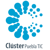 Clster Puebla TIC logo