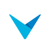 CodeValue logo