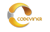 CodeViner logo