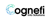 Cognefi Info Solutions Pvt Ltd . logo