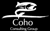 Coho Consulting Group, LLC logo