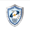 COLT Cyber Security Consultants, LLC logo