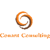 Conant Consulting logo