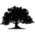 Copper Shade Strategy, LLC logo