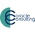 Coracle Consulting logo