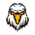 Creative Falcons Studio logo