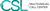 CSL - Customer Support Lviv logo