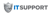 CW IT Support logo