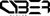 Cyber Vision Development Studio logo
