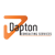Dapton Consultancy Services logo