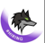Dark Wolf Solutions logo