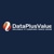 Data Plus Value Web Services logo