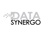 Data Synergo Sdn Bhd logo