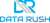 DataRush Ltd logo