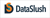 DataSlush logo