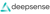 Deepsense Digital Solutions logo