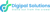 Digipal Solutions logo