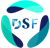 DigiSciFi Technologies logo