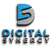 Digital Synergy logo