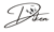 Diken David LTD logo
