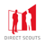 Direct Scouts Istanbul logo