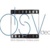 Dirk Stevens Video logo