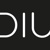 DIU MarTech Solutions GmbH logo