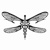 Dragonfly Strategy logo