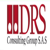 DRS Consulting logo