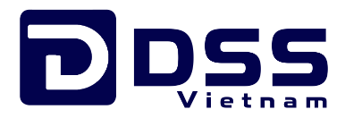 DS Solution Vietnam, Jsc. logo