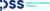DSS - Digital and Software Solutions logo