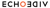Echo Video logo