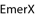 EmerX Services Private Limited logo