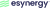 esynergy logo