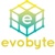 Evobyte Design logo