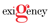 Exigency logo