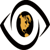 Eyes Everywhere IT Consulting logo