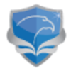 Falcon Network Services logo