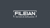 Fileian Ventures Private Limited logo