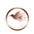 Follow the Hummingbird Consulting, PBC logo