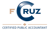 Francisco E Cruz, CPA logo
