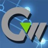 Galaxy Wing It Solutions logo