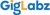GigLabz Private Limited logo