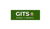 Global IT Sources logo