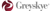 Greyskye Marketing Consultants LLC logo