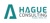 Hague Consulting logo