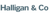 Halligan & Co logo